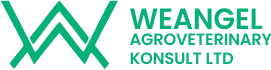 WeAngel