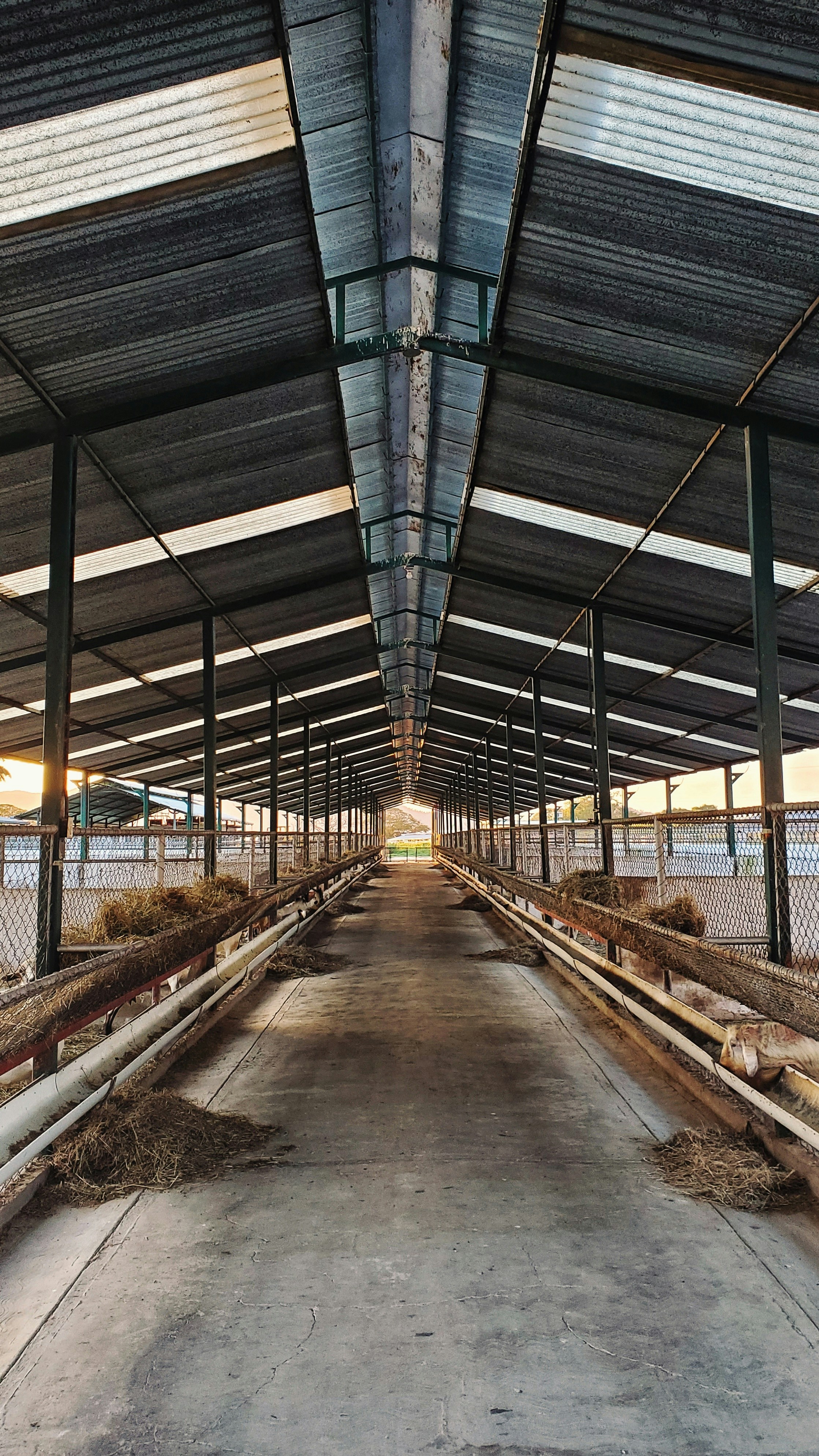 50-Acre Poultry Farm Commissioned in Ogun State